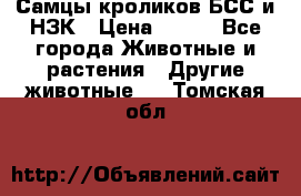 Самцы кроликов БСС и НЗК › Цена ­ 400 - Все города Животные и растения » Другие животные   . Томская обл.